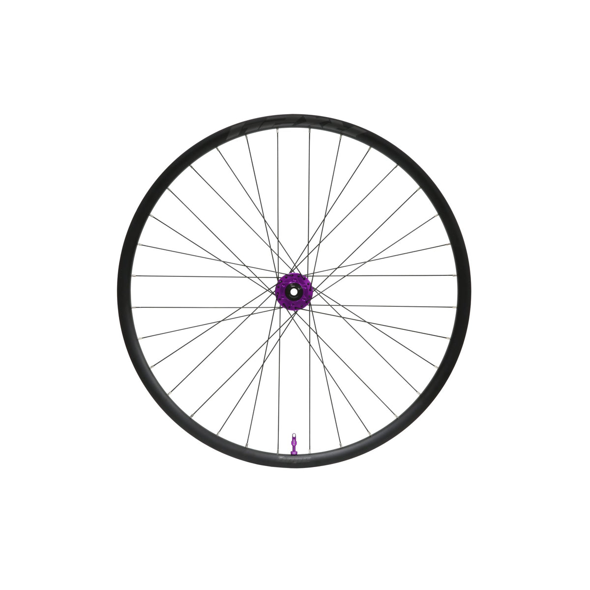 Hope Wheel Front RX24 Pro 5 32H 110mm x 12mm Purple