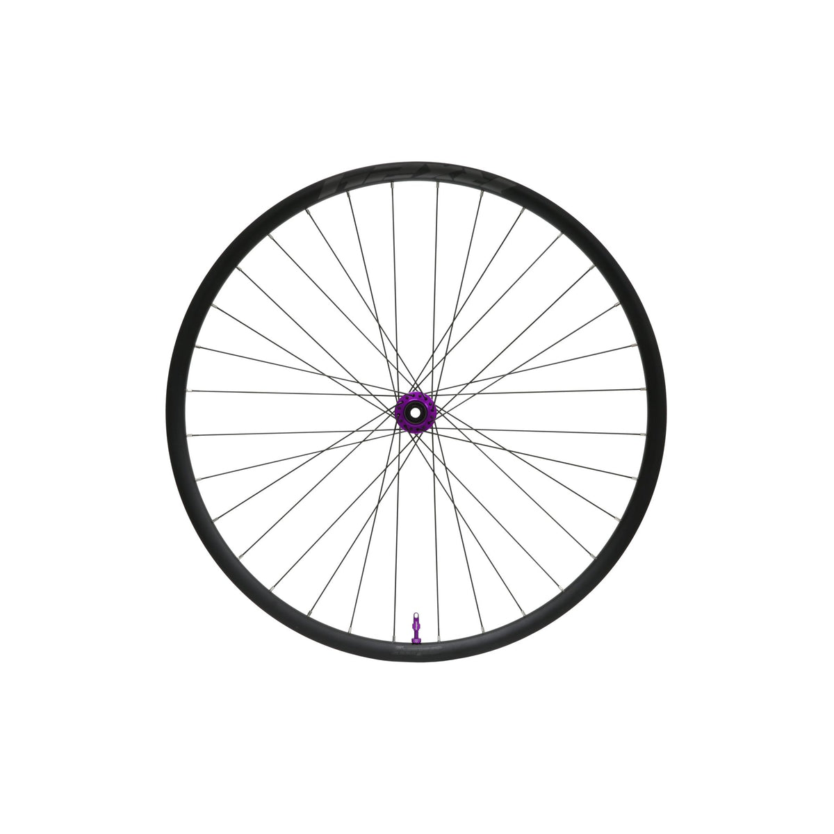 Hope Wheel Front RX24 Pro 5 C-Lock 28H 100mm x QR Purple