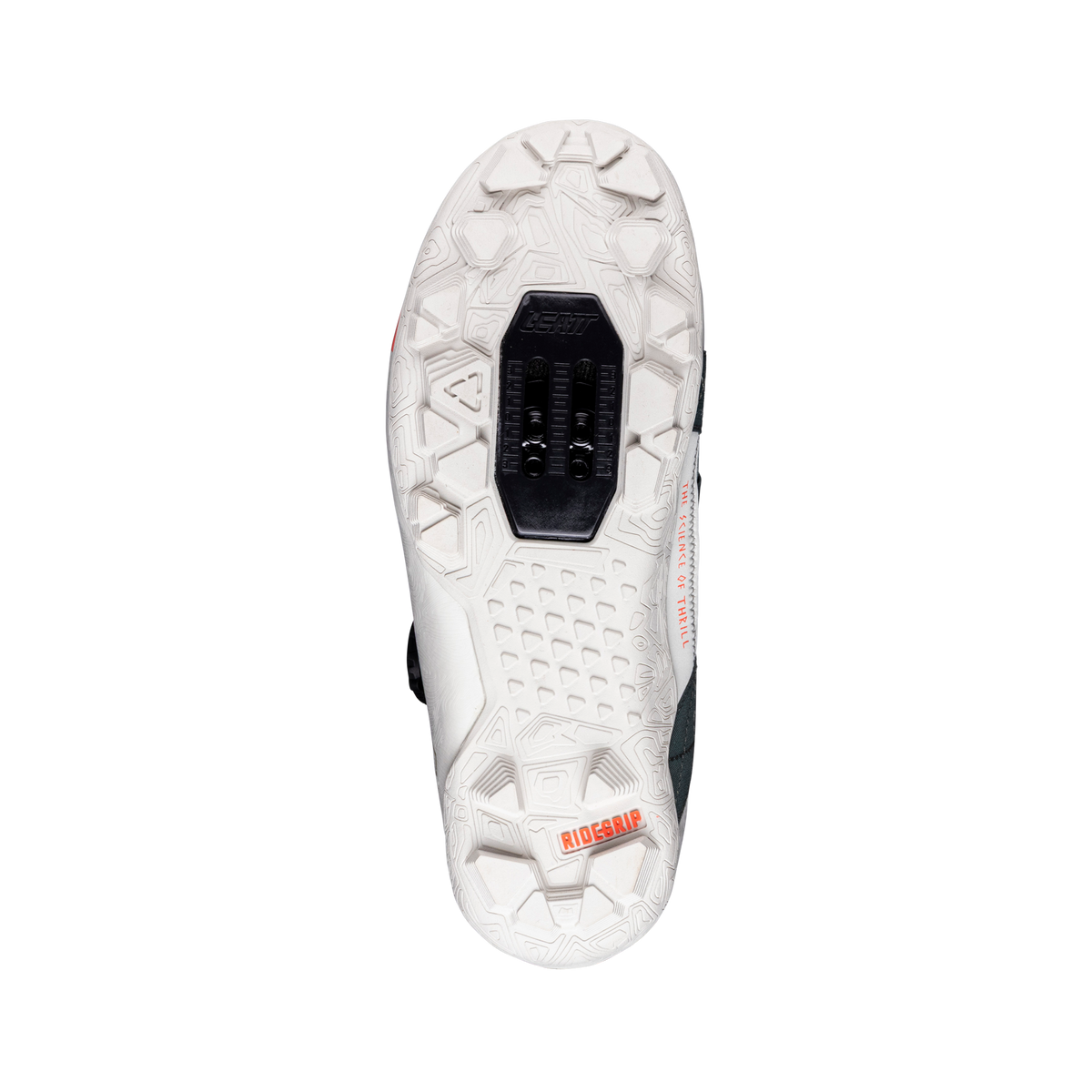 Shoes ProClip 8.0 Endurance