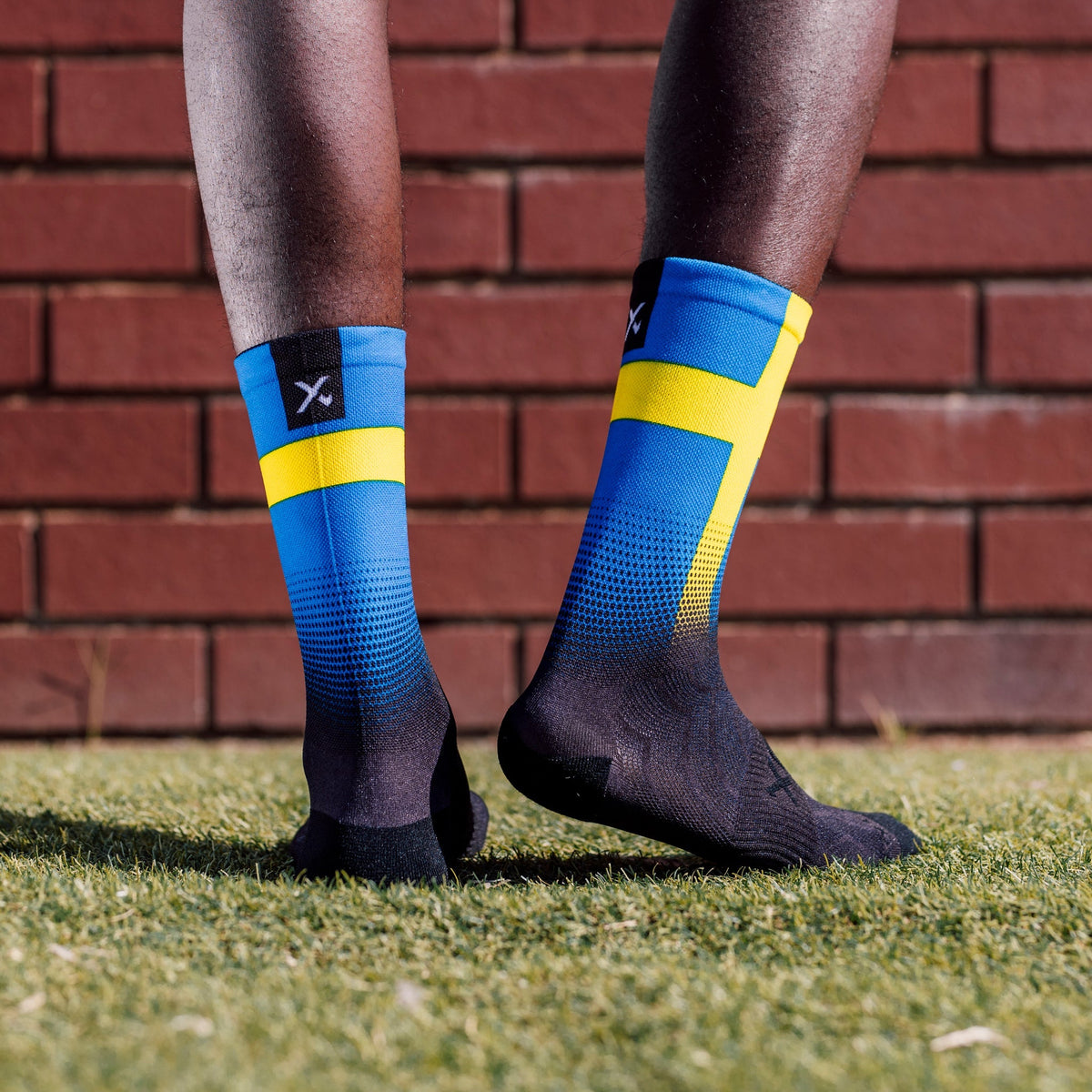 Sweden Flag Socks