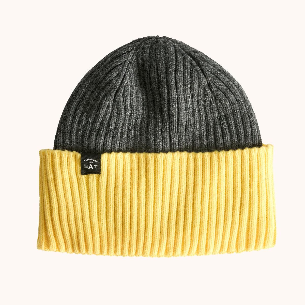 BRION-COLOR BLOCK RIB BEANIE