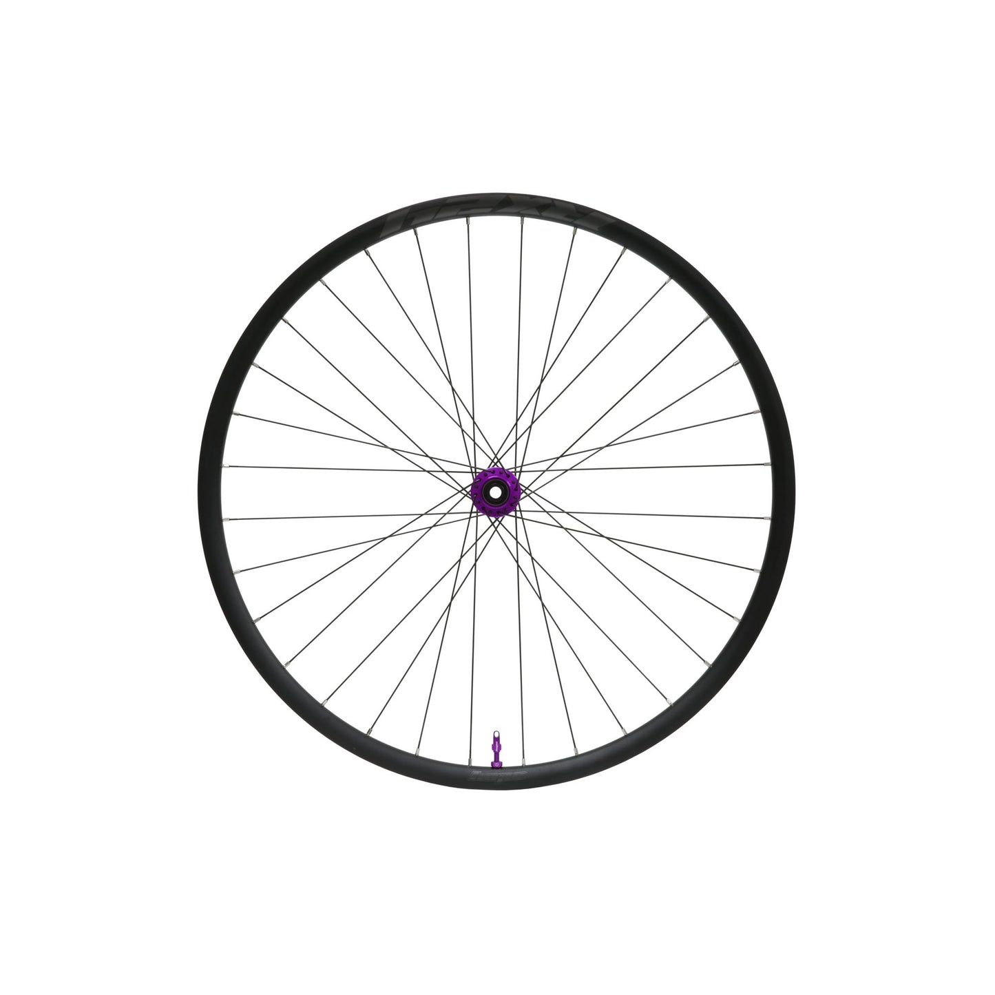 Hope Wheel Front RX24 Pro 5 C-Lock 28H 110mm x 12mm Purple