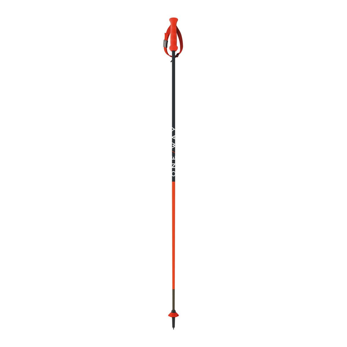 RD 13 CARBON
