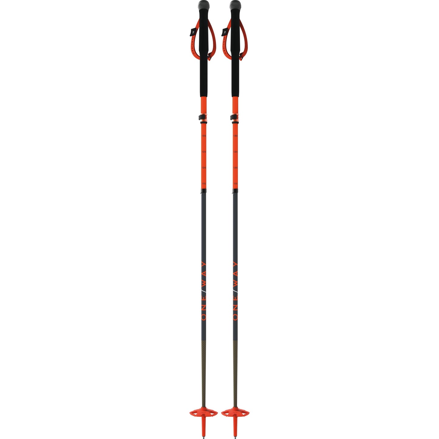 TR Carbon Vario X