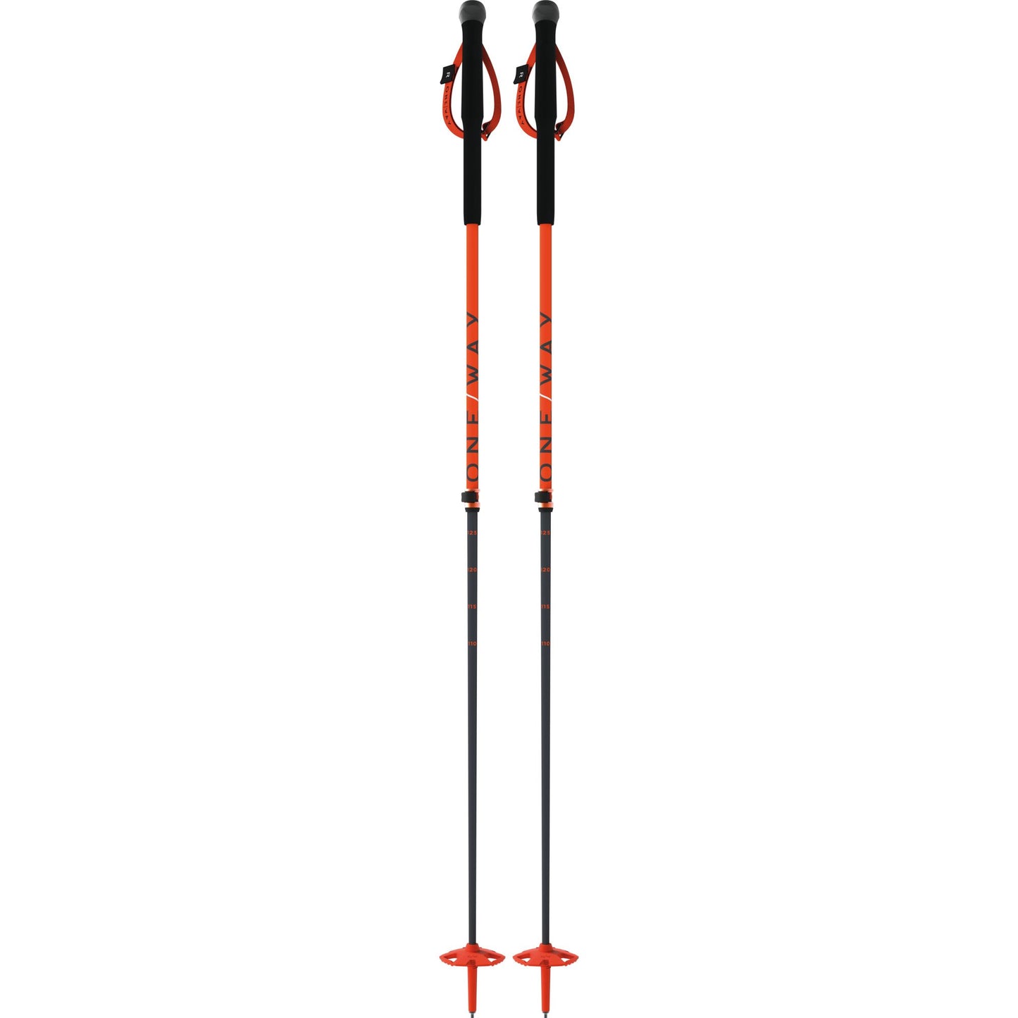 TR Vario