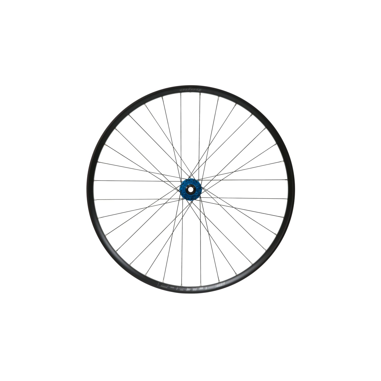 HOPE - ROUE AVANT 29ER FORTUS 30W SC PRO5 BLEU 110X15