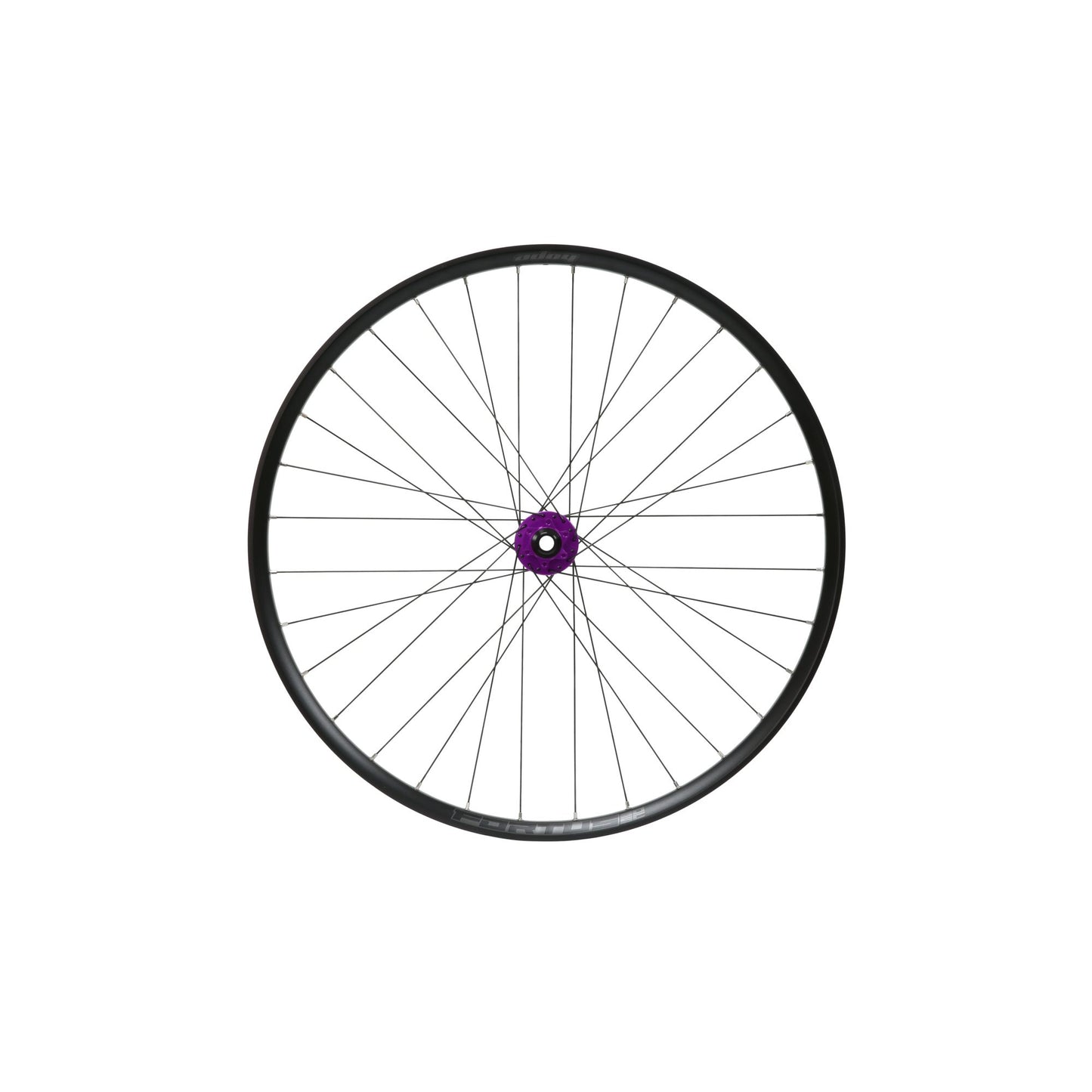 HOPE - ROUE AVANT 29ER FORTUS 30W SC PRO5 VIOLET 110X15