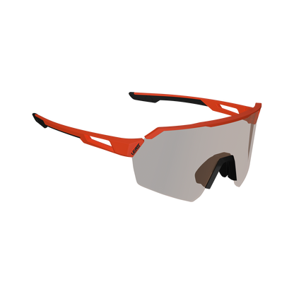 Sunglasses RideViz Lite