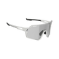Sunglasses RideViz Pro