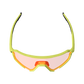 Sunglasses RideViz Pro