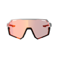 Sunglasses RideViz Pro