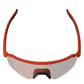 Sunglasses RideViz Lite Large