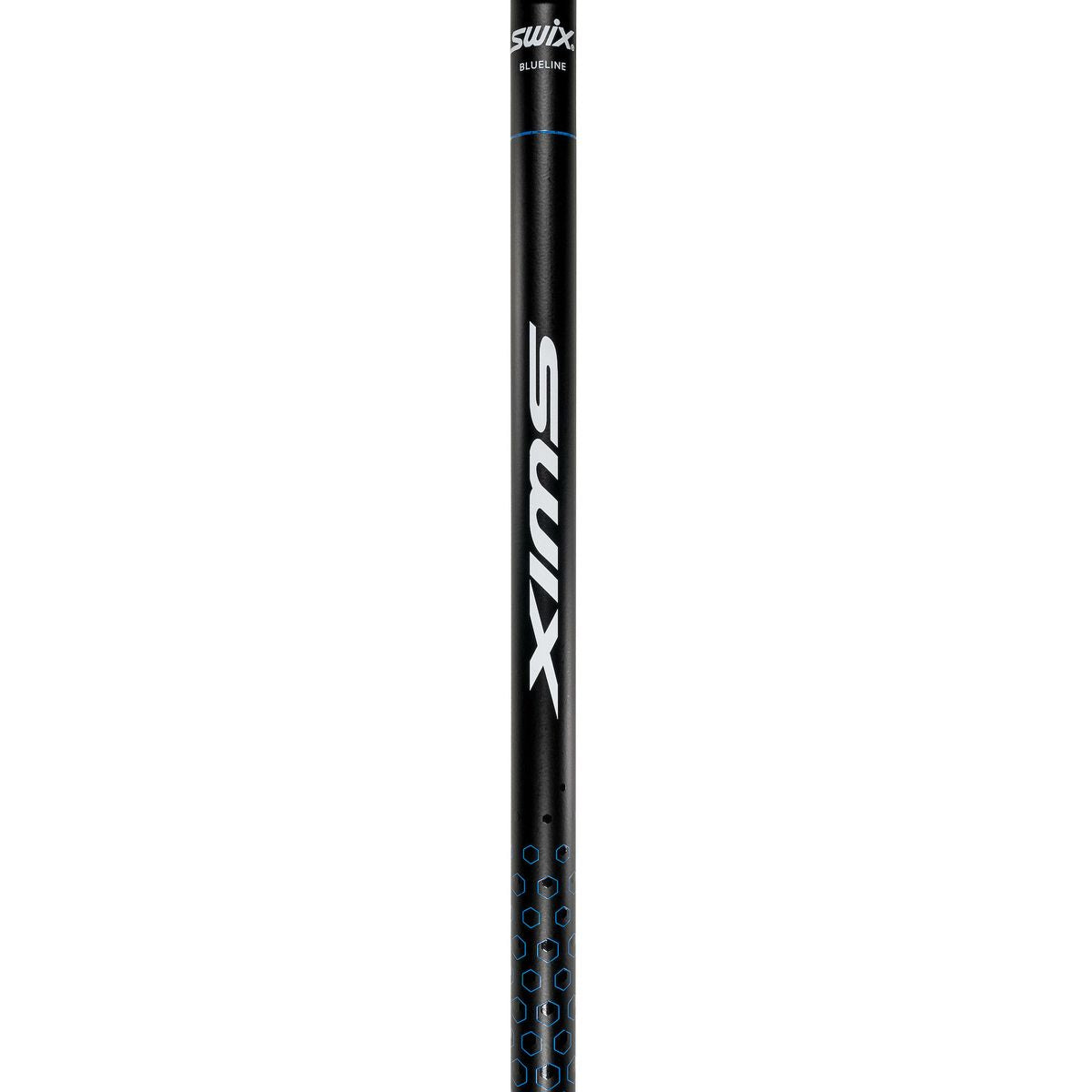Blueline Barracuda