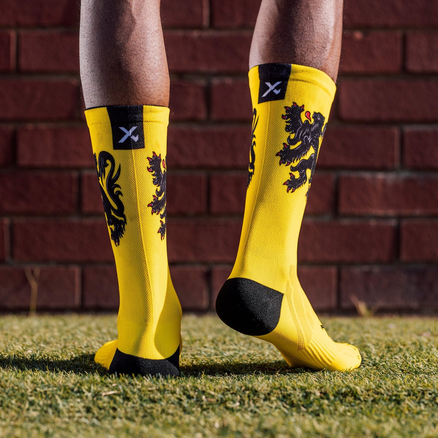 Flemish Lion Flag Socks