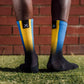 Madeira Flag Socks