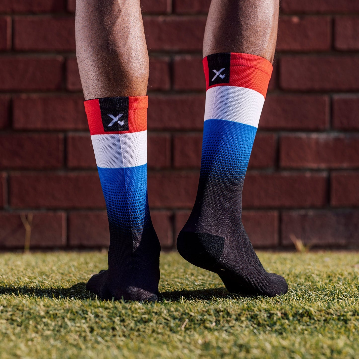 Netherlands Flag Socks