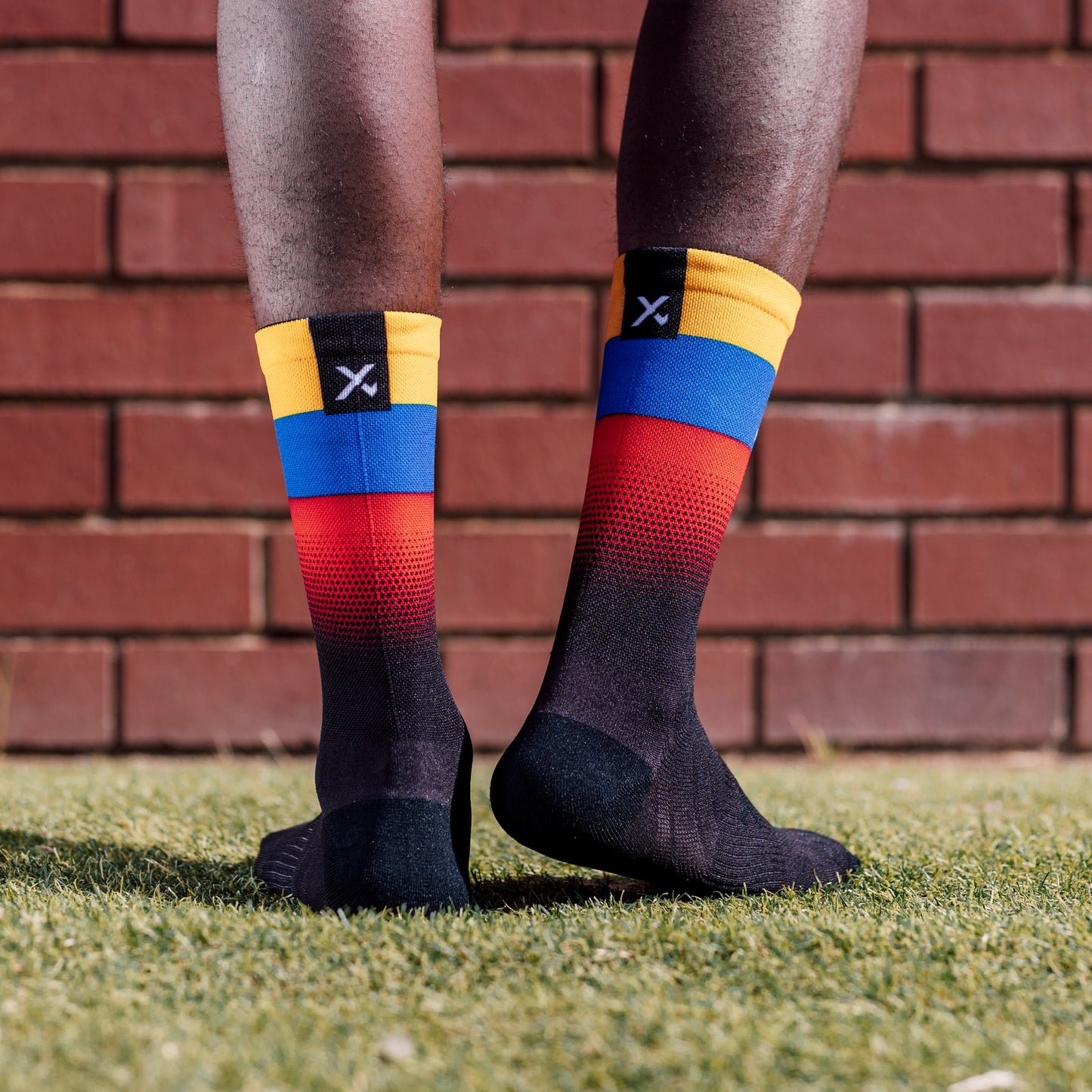 Venezuela Flag Socks